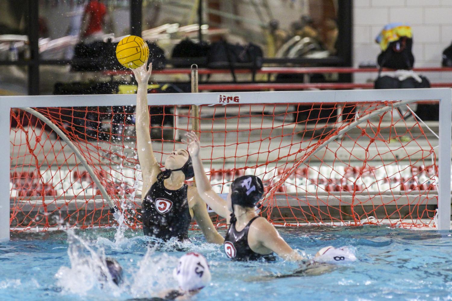 <a href='http://czdw.ngskmc-eis.net'>博彩网址大全</a> student athletes compete in a water polo tournament on campus.